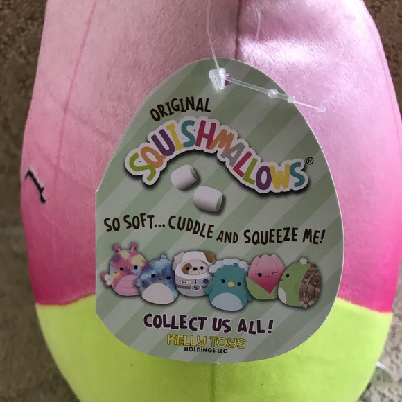 8” Squishmallow Bridgie
Brand New with Tags
Pink Tulip Squishmallow - Picture 4 of 5